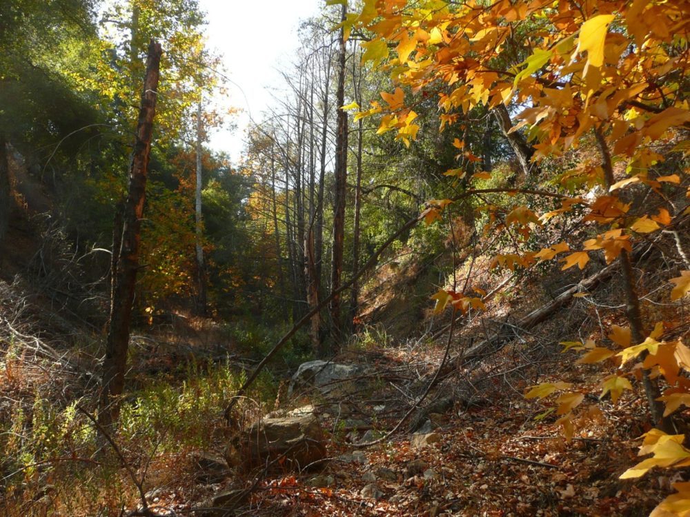 Vail Lake Wilson Creek - 1