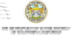 Met logo