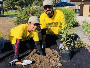 Volunteers Planting
