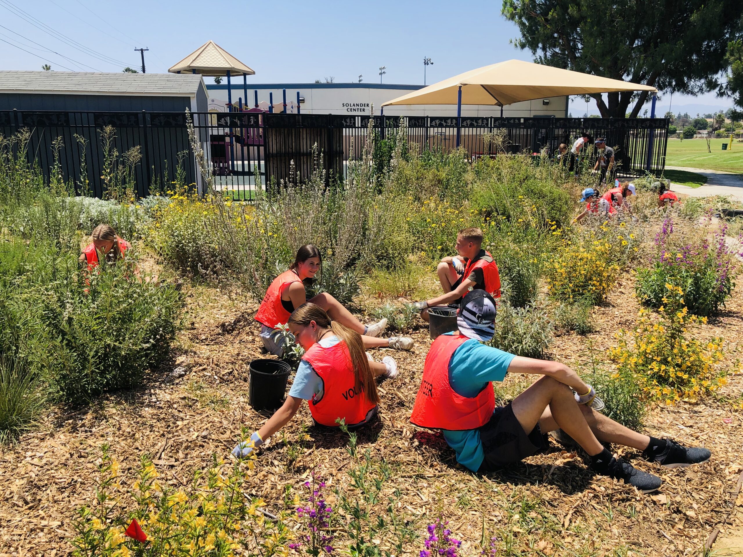 Volunteers weeding at our Bryant park native garden