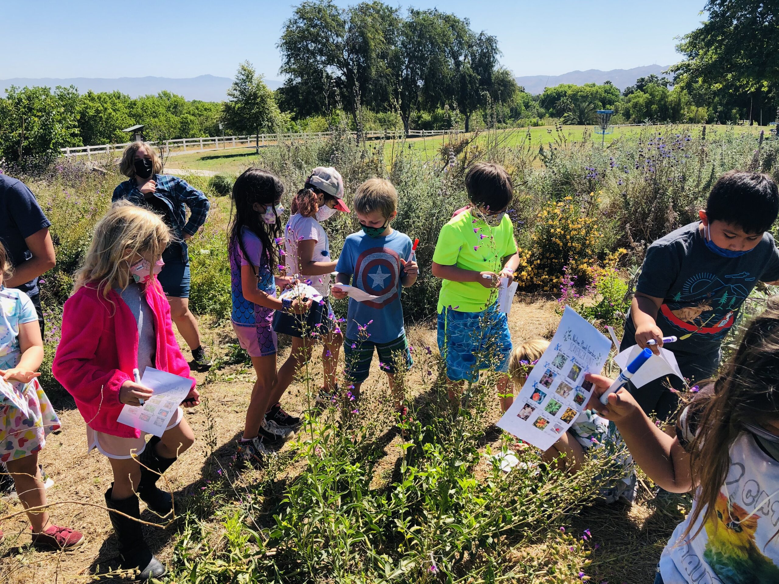 Children learning about native plants at Martha McLean - Anza Narrow Park