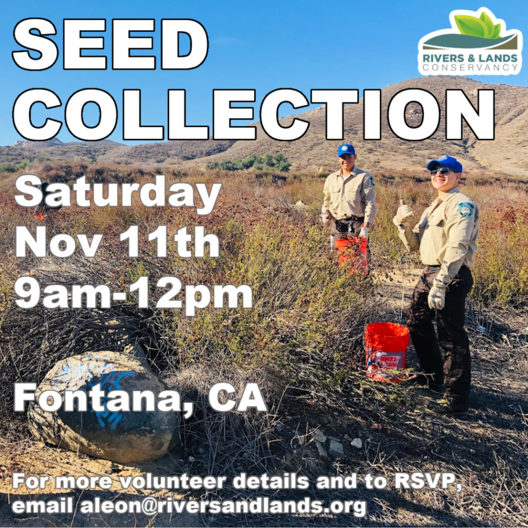 Seed Collection Flyer