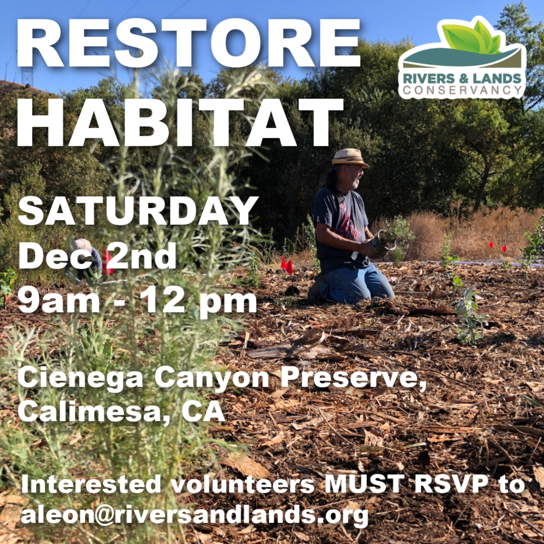 Restore Habitat Volunteer Event Rivers & Lands Conservancy