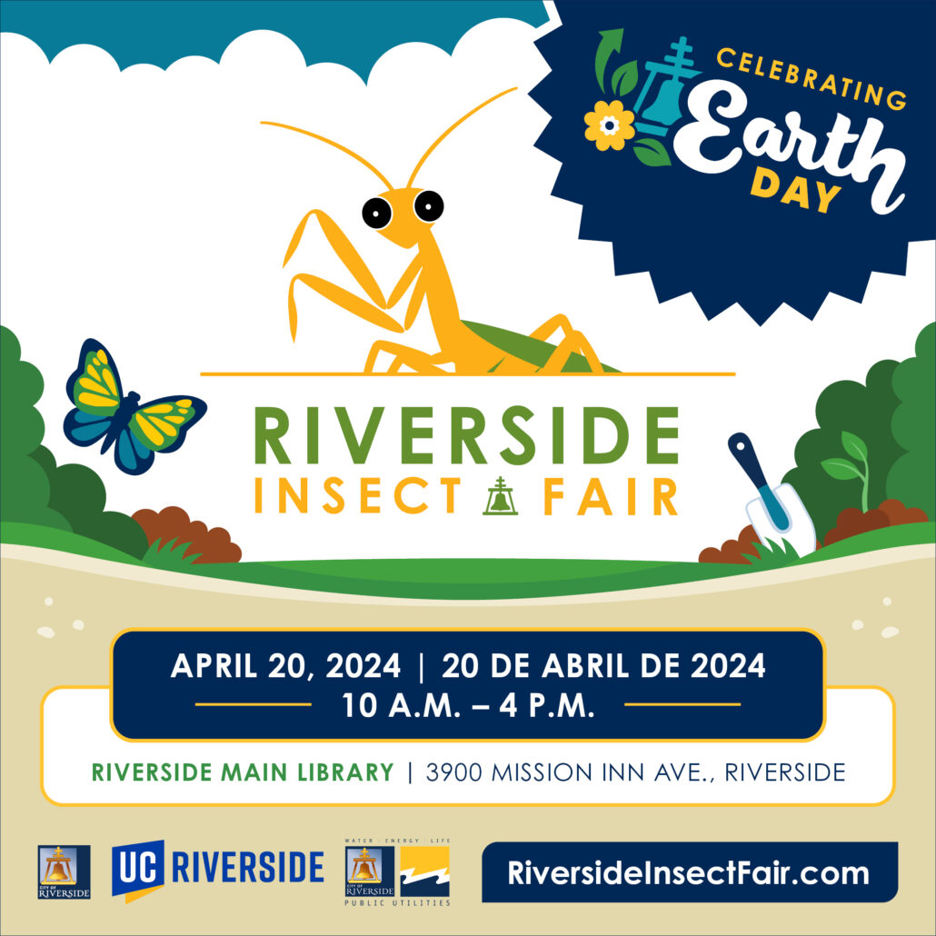 Riverside Insect Fair Flyer