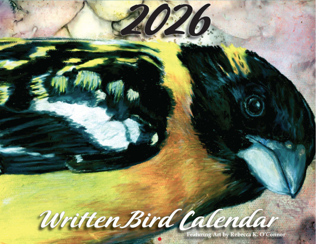 Calendar Cover