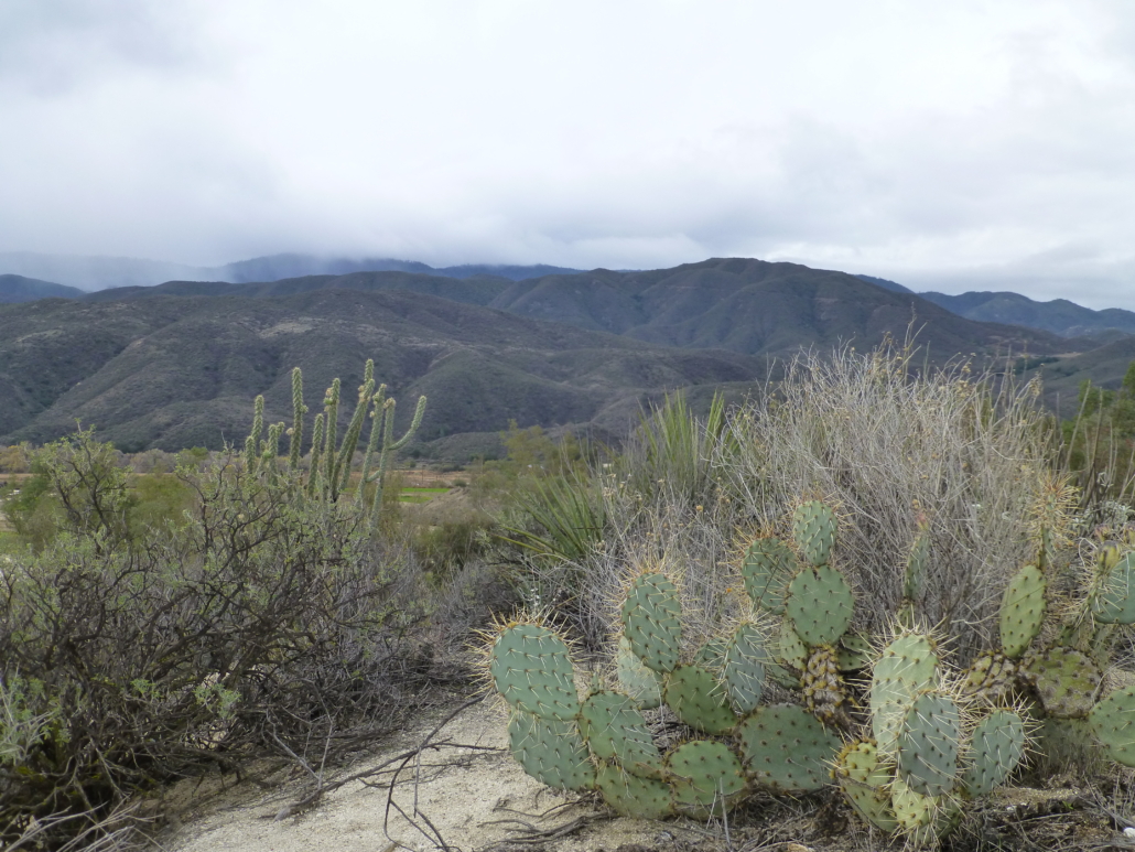 Stepp Aguanga Property