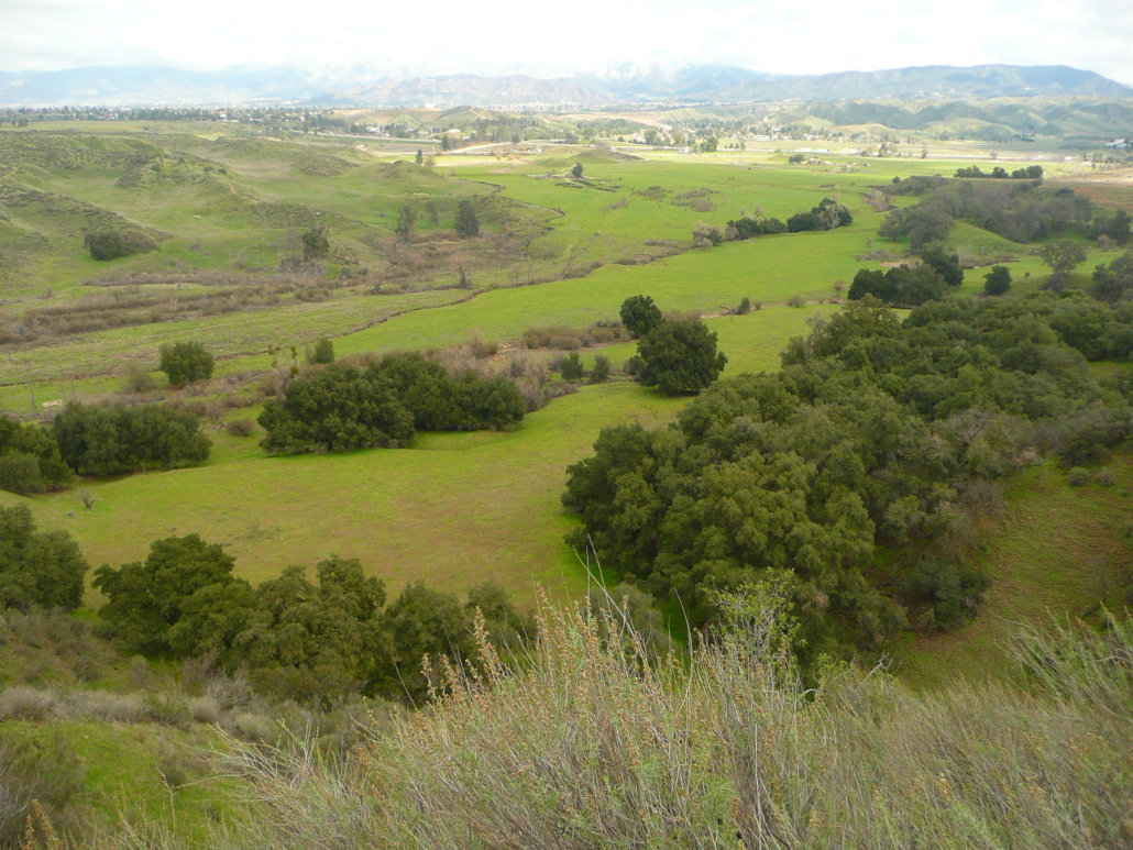 Cienega Canyon Scenic